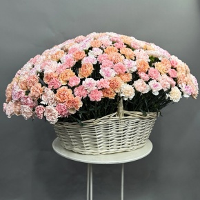 Композиция в корзине из 251 диантуса микс в Электрогорске