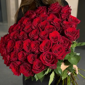 Букет 51 роза Эквадор Эксплорер (60 см) в Электрогорске