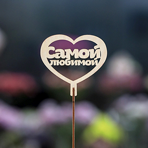 Топпер Самой Любимой в Электрогорске