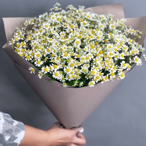 Букет из 17 ромашек танацетум в Электрогорске