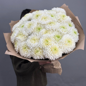 Букет из 27 хризантем Магнум в Электрогорске