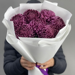 Букет "Винная легенда" из 7 хризантем Бигоуди в Электрогорске