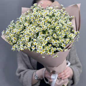 Букет из 17 полевых ромашек в Электрогорске