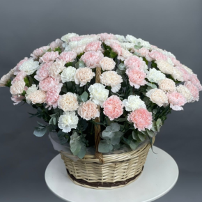 Композиция в корзине из 101 диантуса микс в Электрогорске
