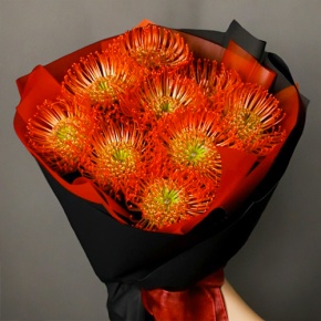 Букет из 9 лейко в Электрогорске