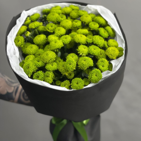 Стильный букет "Лайм" из 15 хризантем сантини в Электрогорске