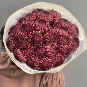 Букет 21 шоколадной хризантемы Бигоуди в Электрогорске