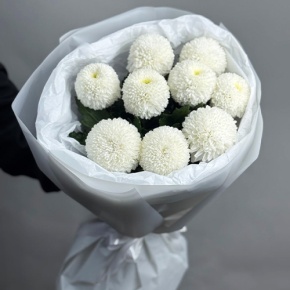 Букет из 9 белых хризантем Момоко в Электрогорске