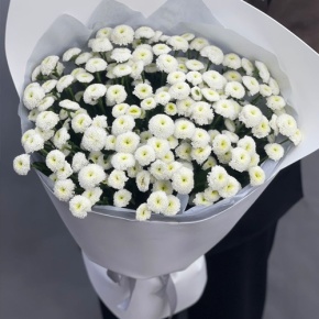 Букет "Белая дымка" из 25 хризантем сантини в Электрогорске