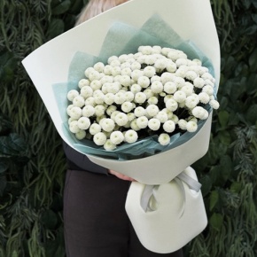 Букет из 25 хризантем Ньютон в Электрогорске