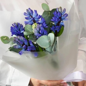 Букет "Мини" из 5 ароматных гиацинтов и эвкалипта в Электрогорске