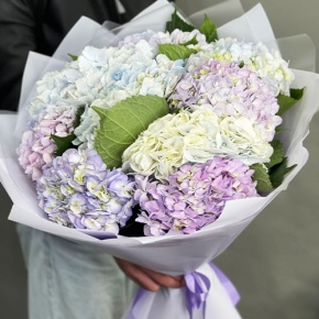 Букет из 9 Голландских гортензий микс в Электрогорске