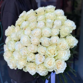 Букет из 51 розы Эквадор Мондиаль под ленту (80 см) в Электрогорске