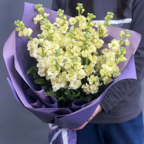 Букет из 15 лимонных маттиол в Электрогорске