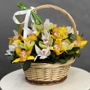 Композиция в корзине из 25 орхидей микс в Электрогорске
