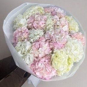 Букет из 17 нежных гортензий в Электрогорске