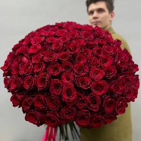 Букет из 101 красной Эквадорской розы Эксплорер (70 см) в Электрогорске