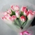 Букет "Фламинго" из 11 пионовидных тюльпанов в Электрогорске Букет "Фламинго" из 11 пионовидных тюльпанов в Электрогорске
