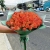 Букет из 51 мандариновой розы (40 см) в Электрогорске Букет из 51 мандариновой розы (40 см) в Электрогорске
