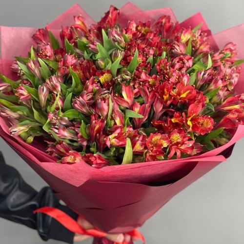 Монобукет из 25 красных альстромерий в Электрогорске