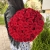 Букет 51 красной розы 50 см в Электрогорске Букет 51 красной розы 50 см в Электрогорске