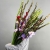 Букет из 25 гладиолусов микс в Электрогорске