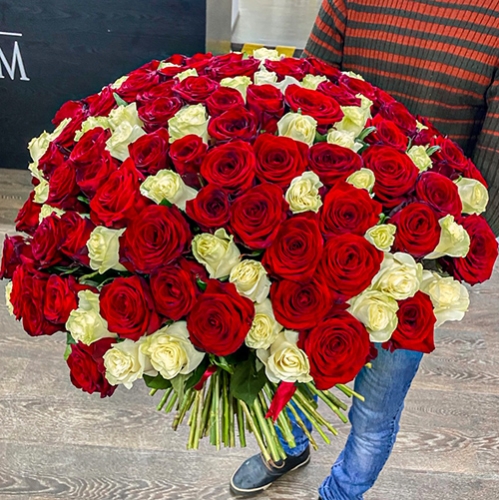 Букет 151 роза красный и белый микс (60 см) в Электрогорске