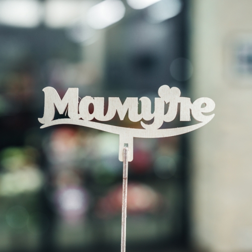 Топпер Мамуле в Электрогорске