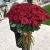 Букет из 101 красной розы (90 см) в Электрогорске Букет из 101 красной розы (90 см) в Электрогорске