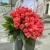Букет 51 роза коралл (60 см) в Электрогорске Букет 51 роза коралл (60 см) в Электрогорске
