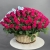 Композиция в корзине из 151 малиновой розы в Электрогорске Композиция в корзине из 151 малиновой розы в Электрогорске