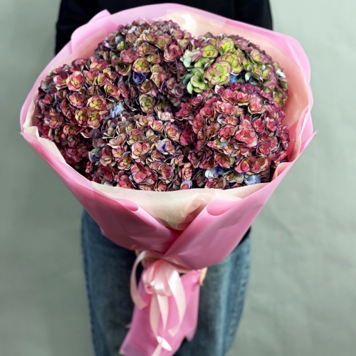 Букет из 5 космических Голландских гортензий в Электрогорске