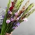 Букет из 25 гладиолусов микс в Электрогорске