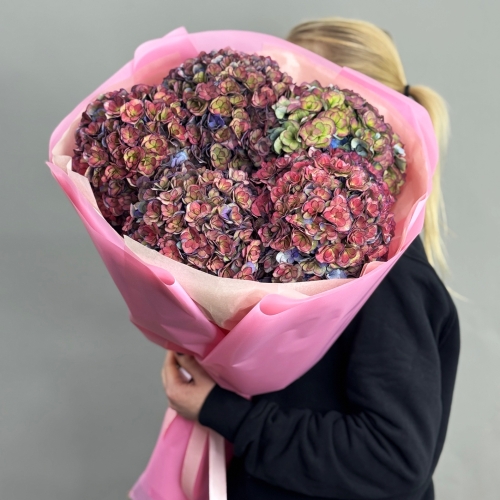 Букет из 5 космических Голландских гортензий в Электрогорске