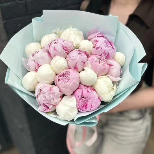 Микс из 19 бело-розовых пионов в Электрогорске